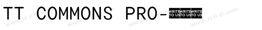 TT COMMONS PRO字体转换